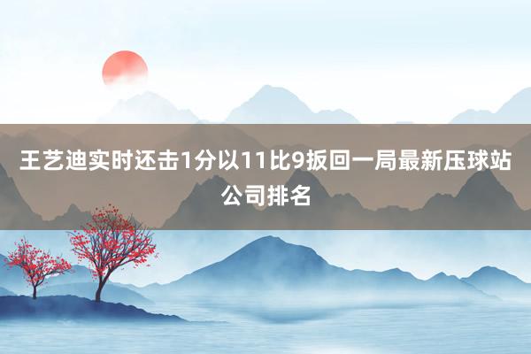 王艺迪实时还击1分以11比9扳回一局最新压球站公司排名