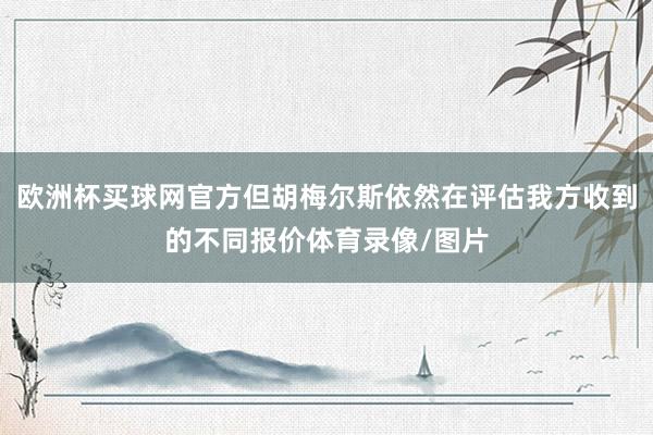 欧洲杯买球网官方但胡梅尔斯依然在评估我方收到的不同报价体育录像/图片