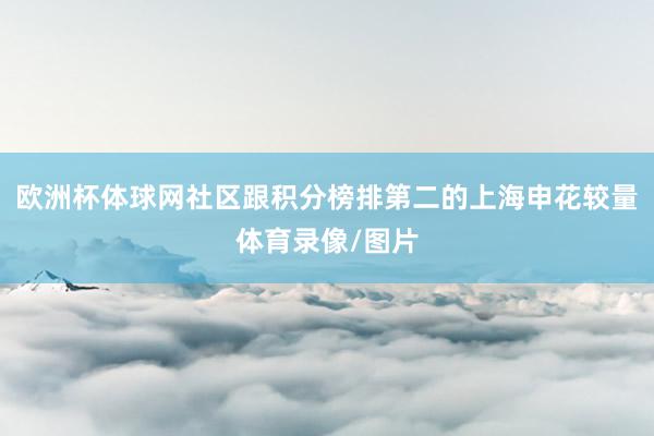 欧洲杯体球网社区跟积分榜排第二的上海申花较量体育录像/图片