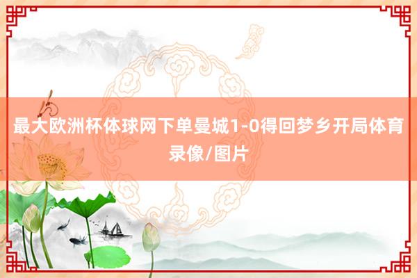 最大欧洲杯体球网下单曼城1-0得回梦乡开局体育录像/图片