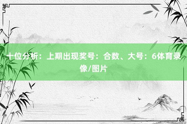 十位分析：上期出现奖号：合数、大号：6体育录像/图片