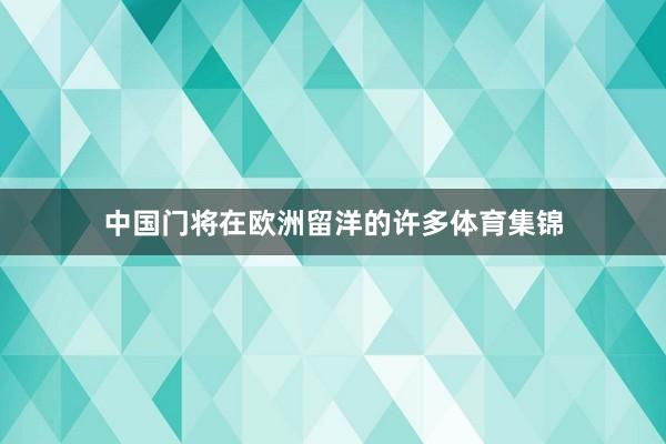 中国门将在欧洲留洋的许多体育集锦