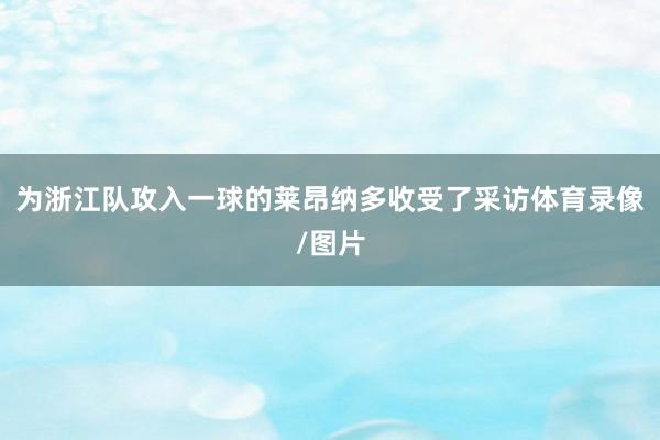 为浙江队攻入一球的莱昂纳多收受了采访体育录像/图片