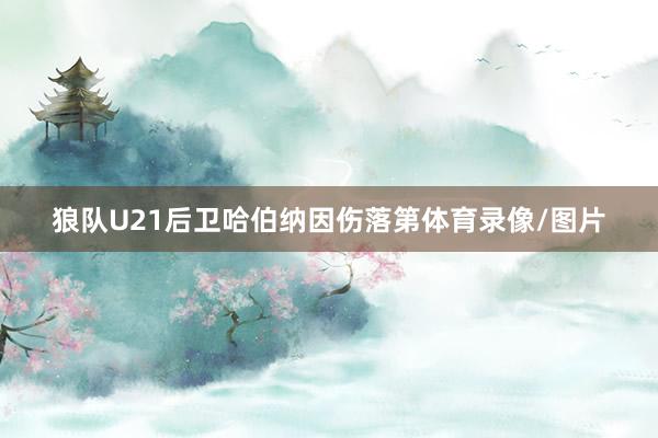 狼队U21后卫哈伯纳因伤落第体育录像/图片