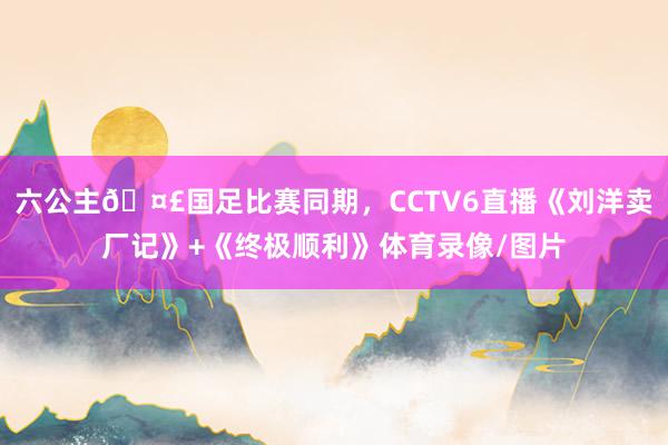 六公主🤣国足比赛同期，CCTV6直播《刘洋卖厂记》+《终极顺利》体育录像/图片